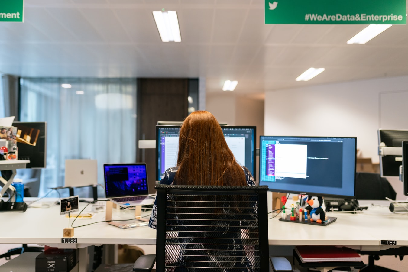 Développement de l'entreprise